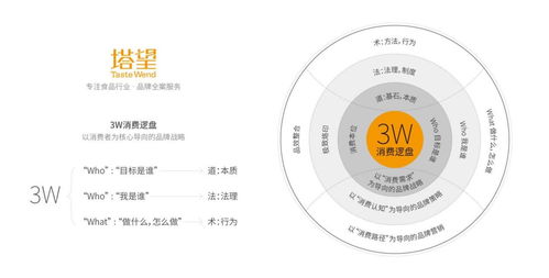 塔望核心業(yè)務(wù)介紹 食品品牌咨詢(xún)、品牌策劃與健康咨詢(xún)服務(wù)的專(zhuān)業(yè)體系